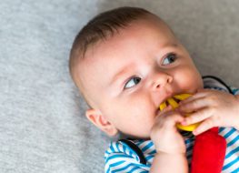 Best Baby Teethers - A baby wearing a blue striped clothing is chewing a pretzel teether