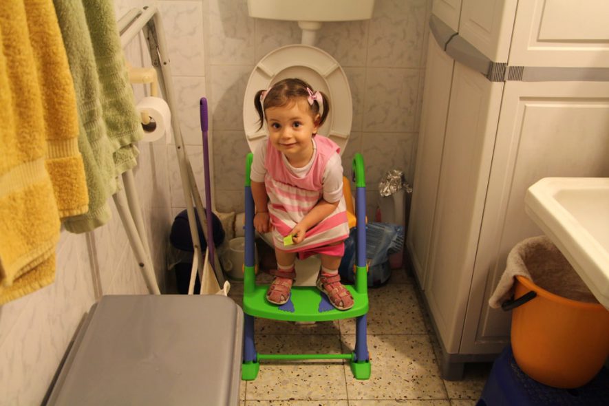 potty seat with ladder 